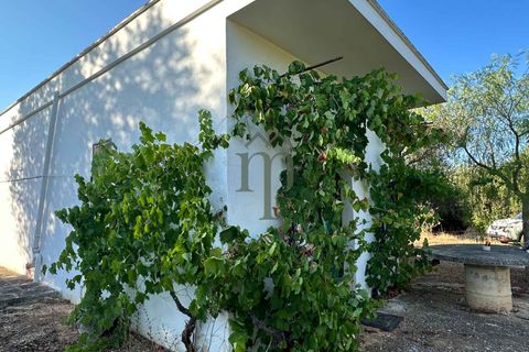 Ruïna a Ostuni, Brindisi, Ostuni - € 43.000 | Ref: Lamia Vite - foto 2